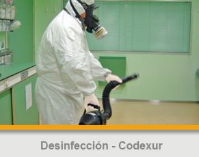 EMPRESA DESINFECCION CERTIFICADA